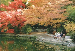 Lithia Park - Ashland, OR