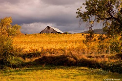 Southern Oregon winery tours